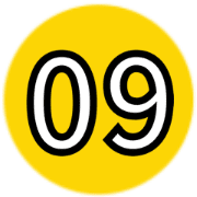 010
