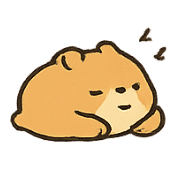005