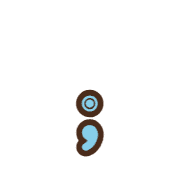 243