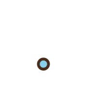 246