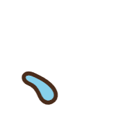 256