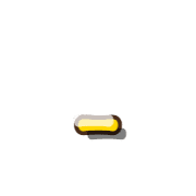 251