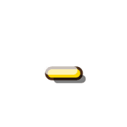 251