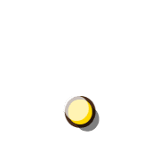 246
