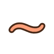 224