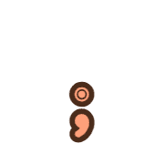 243