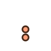 244