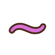 224