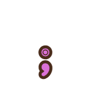 243