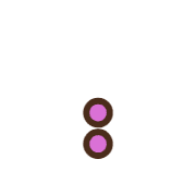 244