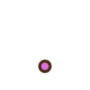 246