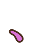 256