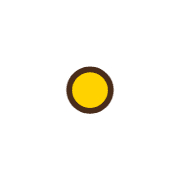 253