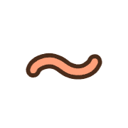 224