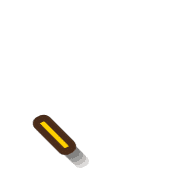 256