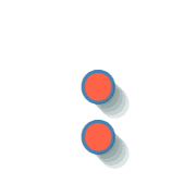 244