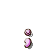 243