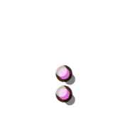 244