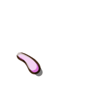 256