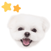 008
