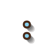 244