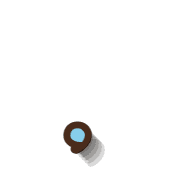245