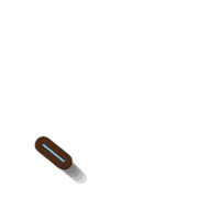 256
