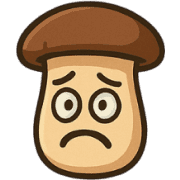 016