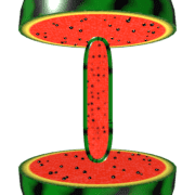 081