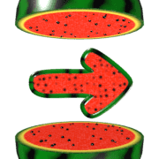 101