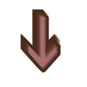 261