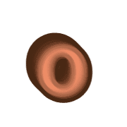 202