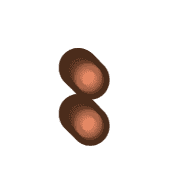 244