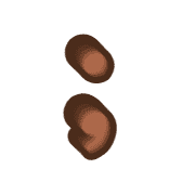 243