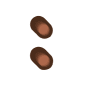 244