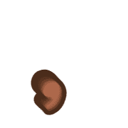 245