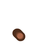 246
