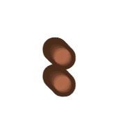 244