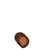 245