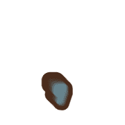 245
