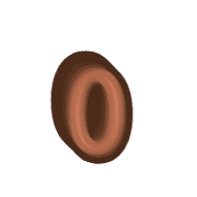 202