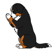 017