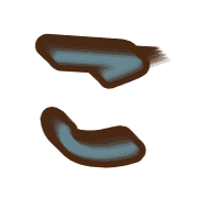 010