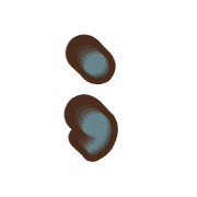 243
