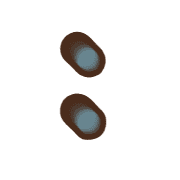 244