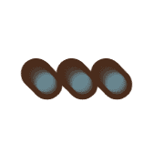 257
