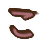 010