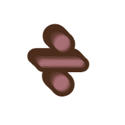 237