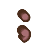 243