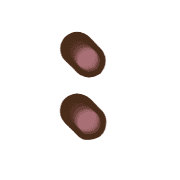 244